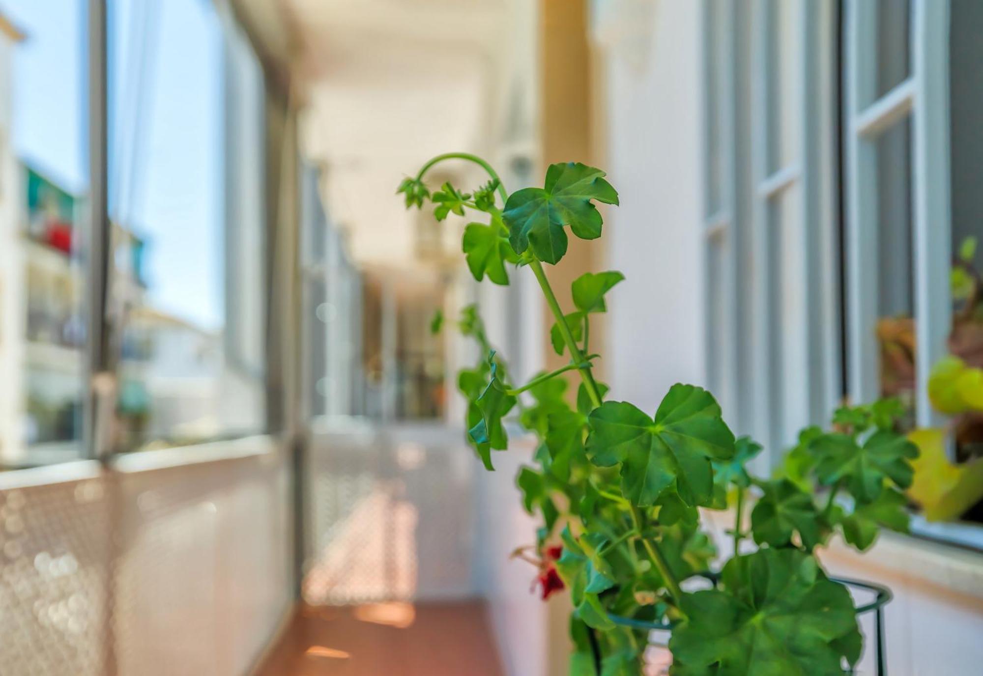 Altillo Sweet & Parking Incluido Apartamento *
